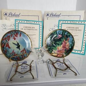 Hummingbird Lot PETS Art Glass Hummingbird And Collector's Plates Cyndi Nelson